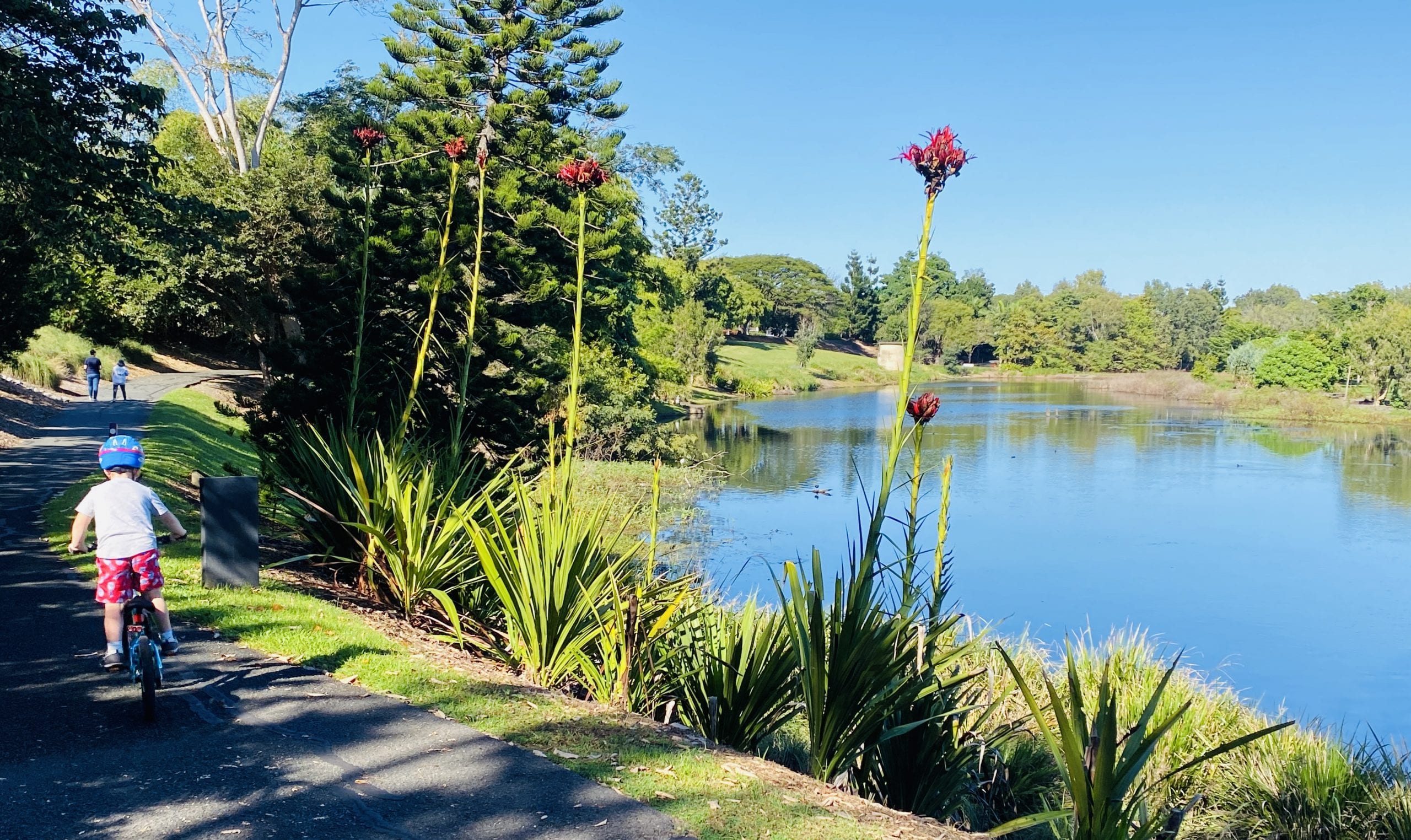 Vision Real Estate Sales & Rentals in Mackay & Dysart